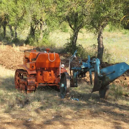 Campestre Umile Ricetto Gospodarstwo agroturystyczne